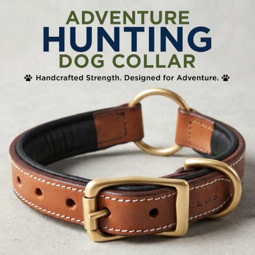 Image of Genuine Leather Adventure Dog Collar, Large, Soft Padding | Center O Ring, Brass Buckle, Medium, D Ring, Heavy Duty, Hand Tooled, Soft Nappa Padding, Fit Neck Size 18.5 inch-22.5 inch