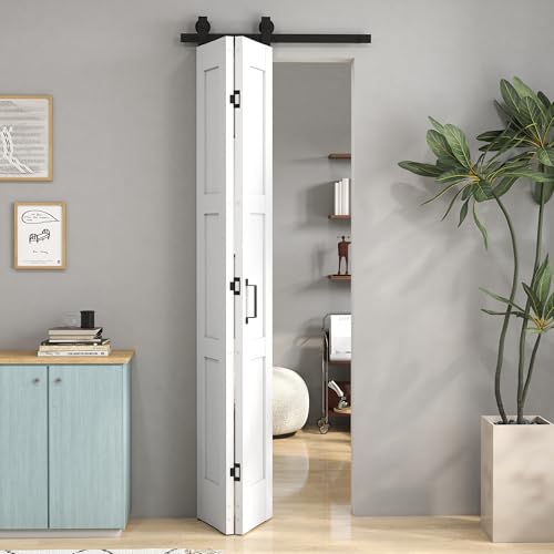 ASSEMBLAGGIO E INSTALLAZIONE SEMPLICI: Porta a libro pieghevole con doghe facili da montare, fori preforati, strumenti inclusi, istruzioni dettagliate e parti etichettate. Installazione veloce su pareti in legno o cemento.