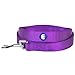 Blueberry Pet Essentials Dark Orchid Dog Leash for Large - 4' * 1