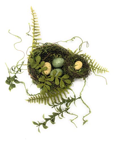 Artificial Moss Covered Twig Double Bird Nest with Fern and Vine Accents. Moss Green Color. with 4 Eggs, 2 Blue 2 Cream.