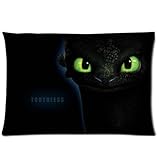 How to Train Your Dragon Toothless Custom Home Soft Zippered Pillowcase Pillow Case Cover 20x 26...