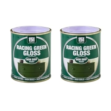 DIOXSTAR Racing Green Gloss Non-Drip Paint, Fast Drying, High Build, High-Performance Paint, Gloss Finish, Interior and Exterior Use, Suitable for Wood, Metal, 300ml (2 PCS)