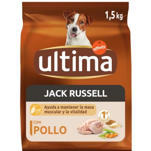 Ultima Cibo per Cani Mini Jack Russell con Pollo