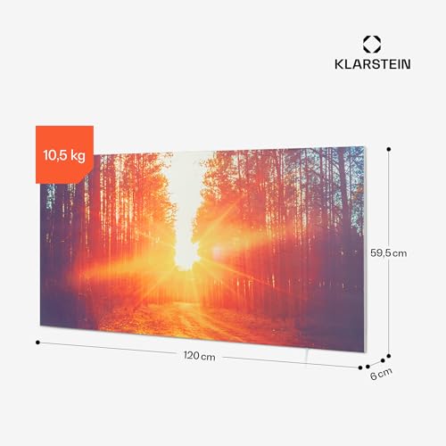 Klarstein Infrarotheizung mit Thermostat, 720W Elektroheizung, Bild- Infrarotheizung zur Wandmontage, IR Paneel mit Fernbedienung & Timer, Feuchtraum Flach- Heizkörper, CO2- Freie Wand Heizung-7