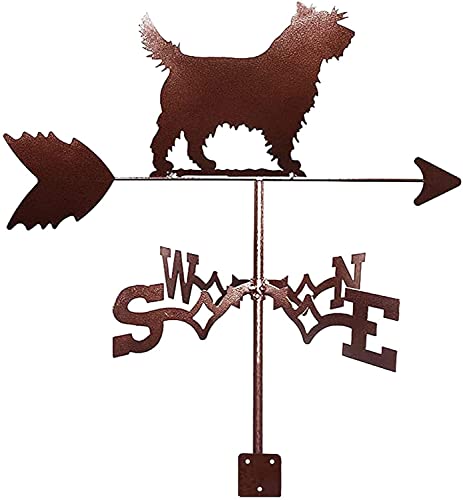 Girouette pour chien en acier inoxydable comme indicateur de direction du vent pour toit de jardin
