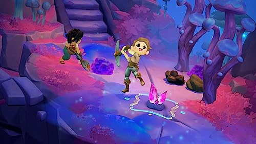 Nintendo FAEFARM Switch - vue 9