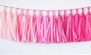 Zorpia 15pcs Tissue Paper Tassels Garland, Mixed 3 Colors(Pink+ light pink+ rose)