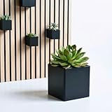 Steinmine - Designmanufaktur