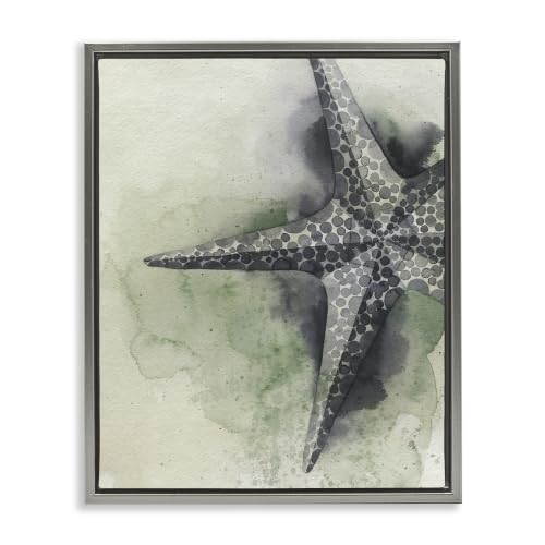 Spotted Grey Starfish Coastal, 25 x 31 Inch Canvas in Floater Frame
