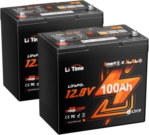 Image of Litime 2 Packs 12V 100Ah Xtra Mini LiFePO4 Battery for RV, Camper, Boat