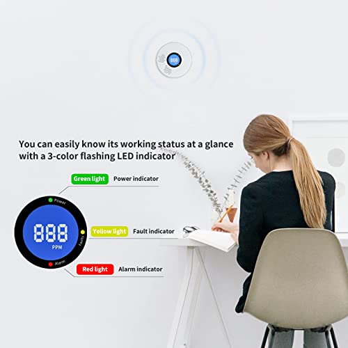Haotesite Carbon Monoxide Detector, Battery Operated Co Alarm Monitor With Digital Display & Sound & Light Warning For Home/Travel (1) #TOP4