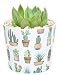 Costa Farms Live Indoor Echeveria Succulent Plant in Wood Design Ceramic Pot