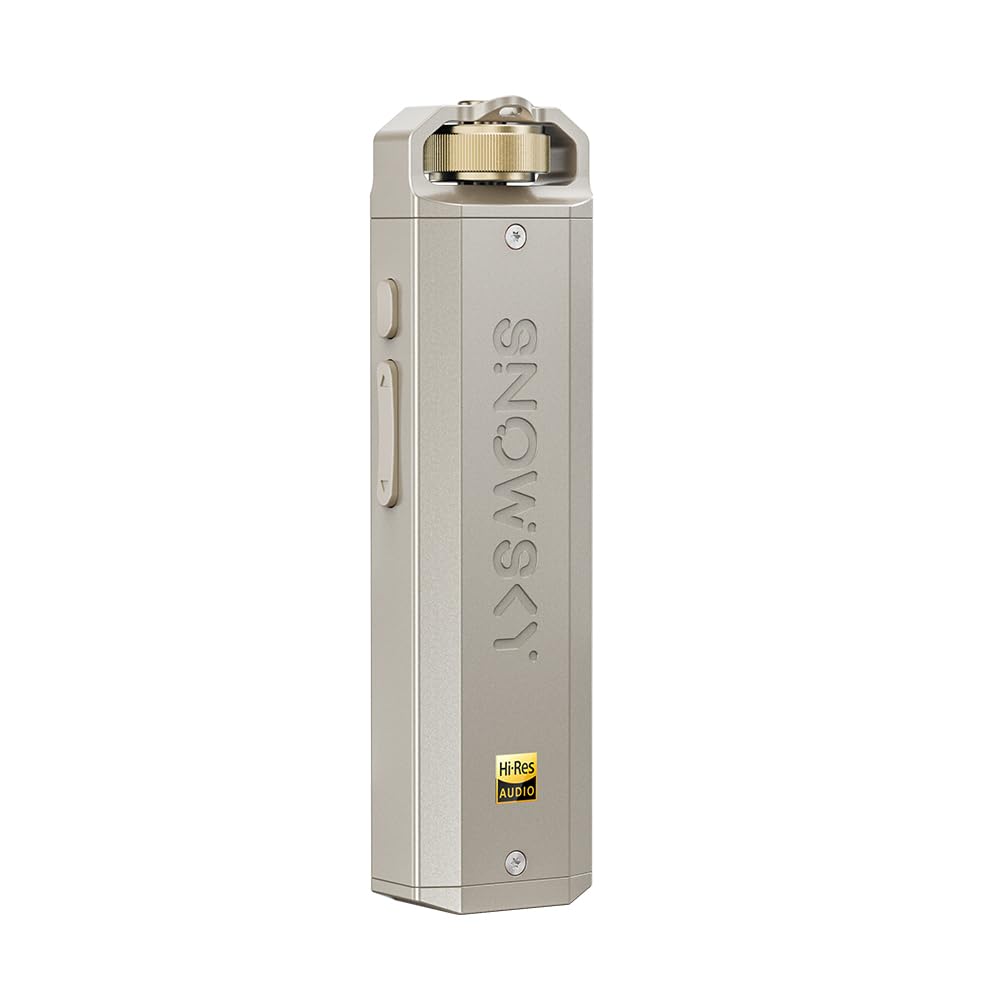Amazon.co.jp: FIIO Snowsky ECHO NANO FIO-SSENANO【日本正規店より