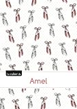  Le cahier d\'Amel: Le cahier d\'Amel - Séyès, 96p, A5 - Ballerine