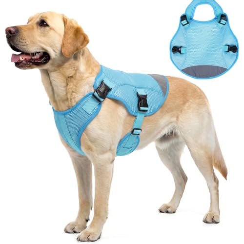 Hjyokuso Kühlweste für Hunde XL, Hundekühlweste für große Hunde, Atmungsaktiv & Leicht, Verdunstungskühlung, Saugfähiges Material, Reflektierende Streifen, Verstellbarer Bauchgurt, Grün