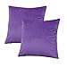 COWORK Lot de 2 housses de coussin carrées en velours doux - 45 x 45 cm - Avec fermeture éclair invisible - Violet foncé
