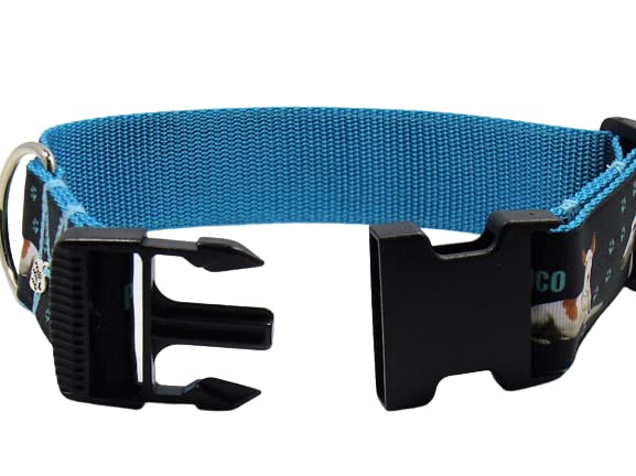 Halsband 'Podenco' Größe SM bis 40 cm Halsumfang