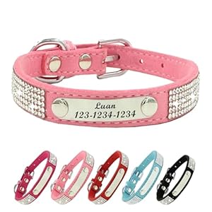 Personalized Dog Collar with Rhines...