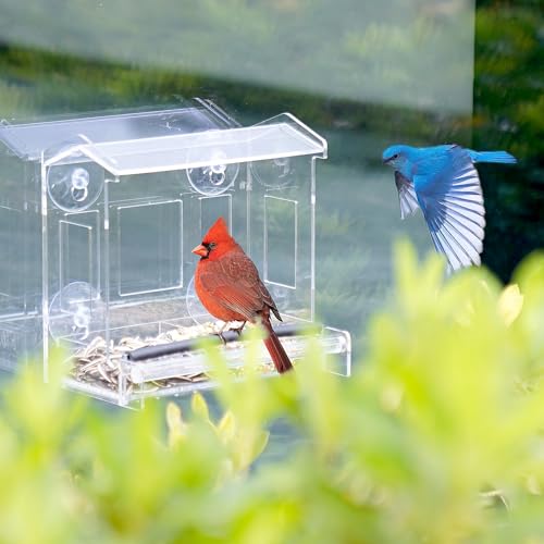 Window Bird Feeder For Viewing with Strong Suction Cups, Transparent Bird House, Drainage Holes, Detachable Seed Tray, Sturdy and Durable Acrylic Clear Window Bird Feeder for Outside by KDMY - Used condition - Image 6