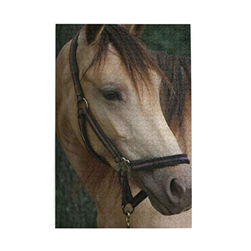Brown Horse 1000 Piece Jigsaw Puzzle Unique Birthday Present Suitable for Teenagers and Adults