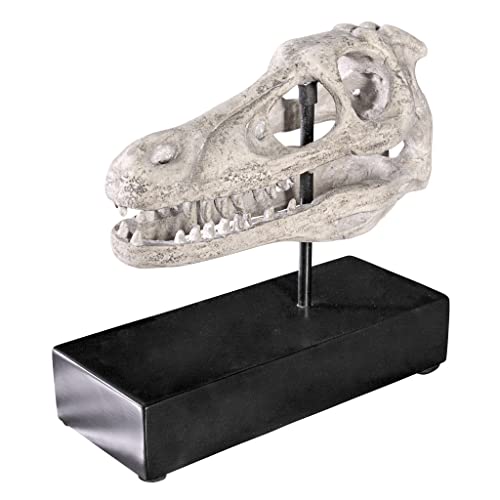 Design Toscano NE100503 Velociraptor Dinosaur Skull Fossil Statue on Museum Mount, Full Color