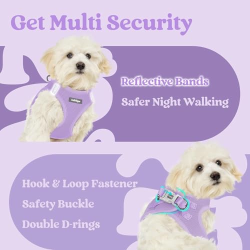 rabbitgoo Small Dog Harness, Step-in Soft Mesh Puppy Vest with Safety Buckle, Breathable Reflective Pet Harness for Small Sized Dogs, Light Purple S by rabbitgoo - Image 7