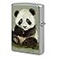 Cute Little Panda