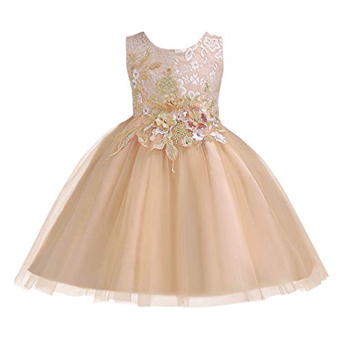 Little Big Girl Flower Embroidery Lace Ruffles Party Wedding Dress Kids Short Evening Princess Birthday Dance Pageant Ball Gown Apricot 11-12 Years