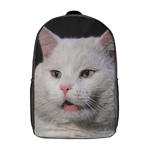 Sac à dos scolaire chat 17 pouces pour voyage et école des ados