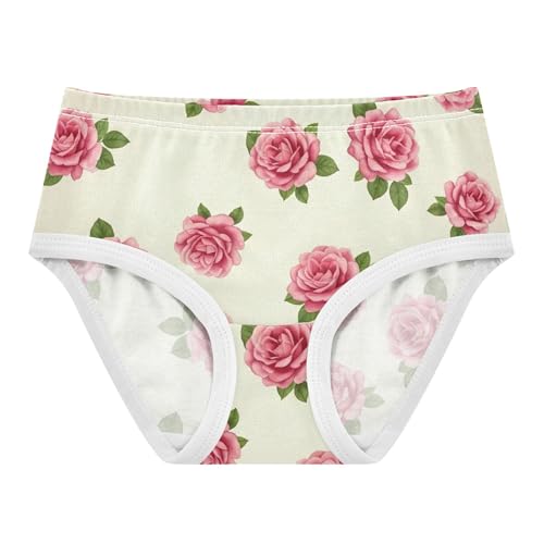 Vintage Floral Pink Flowers Beige Girls Underwear Toddlers 2t Cotton Girl Panties Cute Designer Briefs Undies Kids