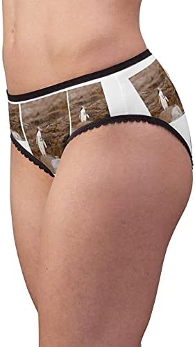 Hoiho On Shore Panties, Hoiho On Shore Underwear, Briefs, Cotton Briefs, Funny Underwear, Panties For Women