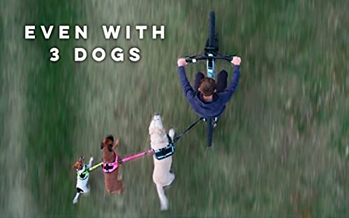 Dog Bike Leash, Hands Free Dog Leashes. Dog Bicycle Lead For Small, Medium And Large Dogs, Designed To Lead One Or More Dogs With Maximum Safety, Easy Assembly Without Tools. Patented Product. #TOP6