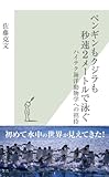 ペンギンもクジラも秒速２メートルで泳ぐ～ハイテク海洋動物学への招待～ (光文社新書)