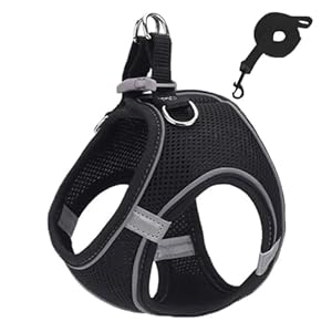ZYBHMJE Cat Harness and Lead Set – Escape Proof, Breathable, Reflective Strips – Small to Medium (Chest: 30-46cm), Black
