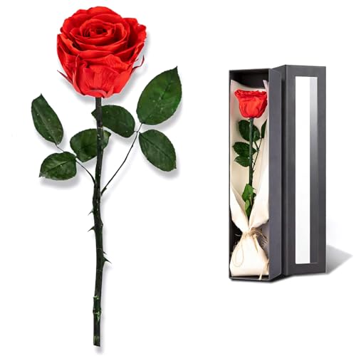 IGXX Rosa Eterna Roja con Tallo, Rosa Preservada Real en Caja de Regalo, Regalo para Mujer para San Valentín Día de la Madre Cumpleaños