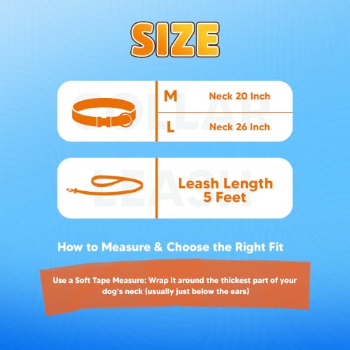 Image of Adil's Biothane Waterproof Dog Collar, Dog Leash & Collar Leash Combo | Heavy Duty TPU Coated Webbing | Adjustable Quick Release Buckle | Odour Resistant (Orange, L-22, Collar & Leash Combo)