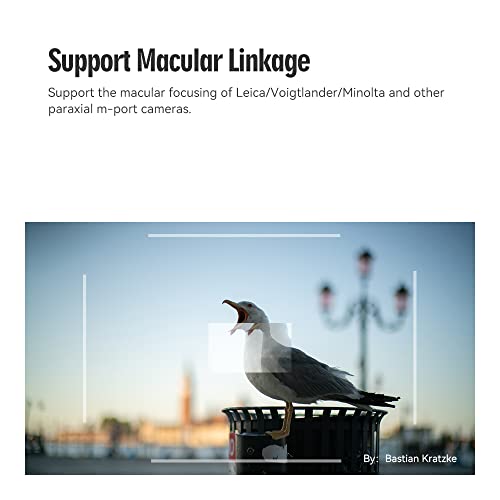 Lente manual TTArtisan 50mm F0.95 para Leica M - Fernando Cortés