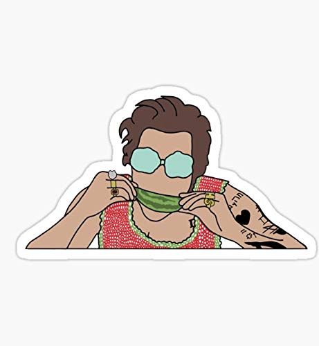 Amazon.com: Harry Styles Watermelon Sugar Music Video Sticker - Pegatina  gráfica - Botellas de agua, hidromatraz, ordenadores portátiles, teléfonos  celulares, parachoques, ventanas, etiqueta engomada del armario : Automotriz