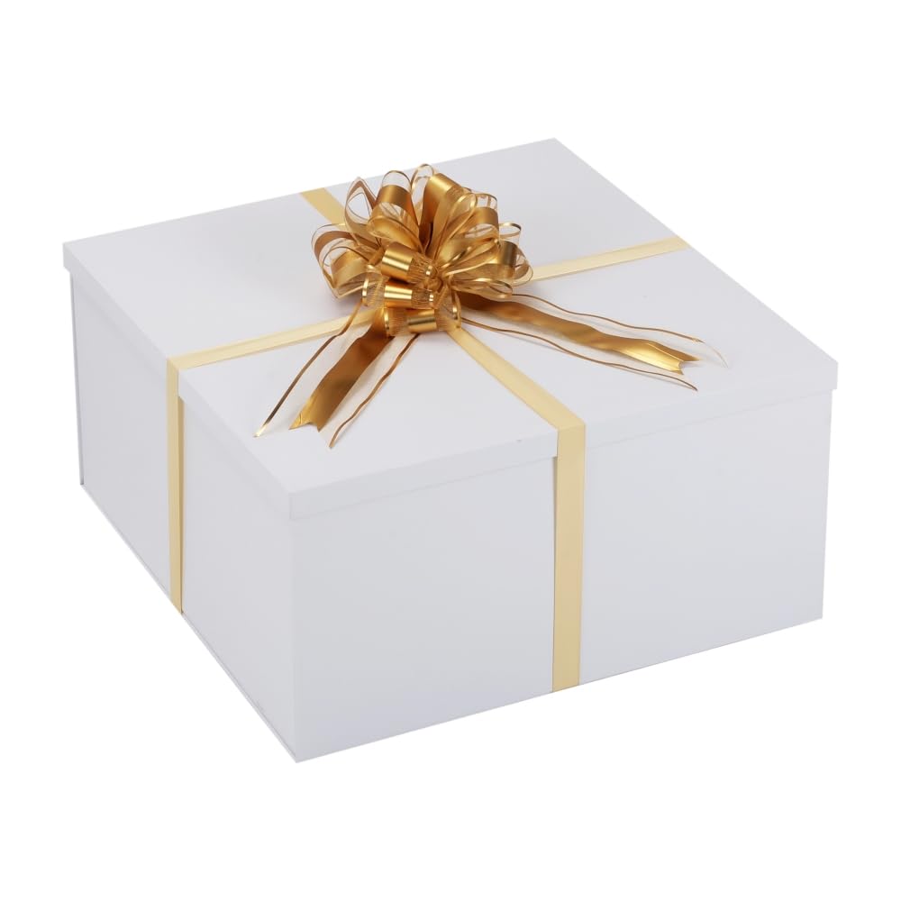 Amazon.com: BoxSkivra Extra Large Gift Box with Lid 20x20x10