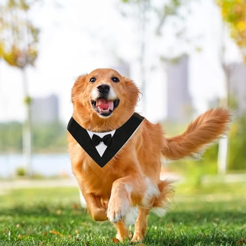 SHENGYIG Hunde Halstuch, M Größe Schwarz Kostüm für Hunde, Fliege-Stil, Verstellbar Hund Kleidung, Selbstklebend, 42 cm Schal, für Verkleiden von Haustieren