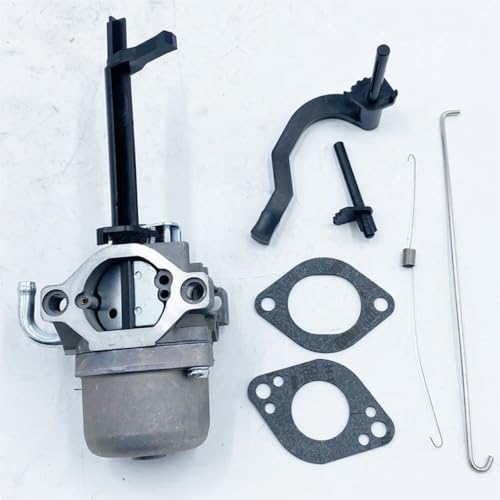 Carburateur souffleuse à neige pour moteurs modèles 591378 699966 699958 - 5