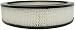 ACDelco A212CW Professional Air Filter
