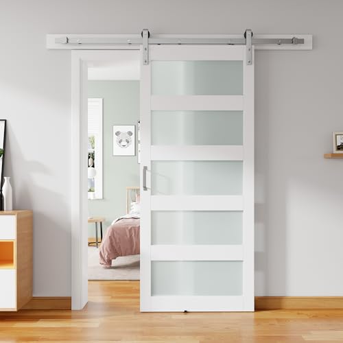 ALAMEDADT 36'' x 84'' Glass Barn Door and 6.6 Ft