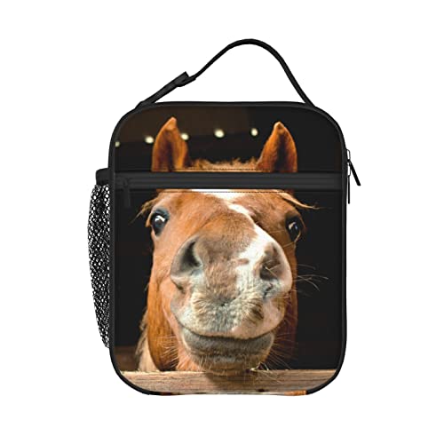 Silly Horse Lunch Box - Insulated Lunch Bags for Women/Men/Girls/Boys Detachable Handle Lunchbox Meal Tote Bag