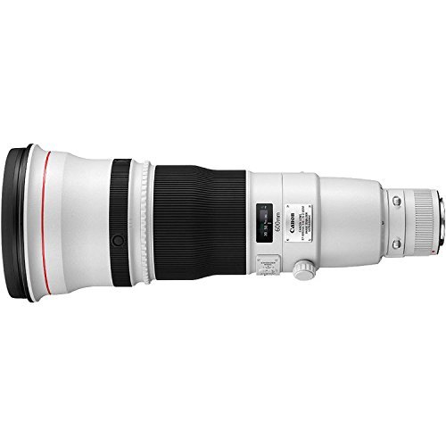 Canon キャノン EF 600mm f4 L USM トランク付き Canon RF 600mm f/4 L IS USM Lens – Design Info