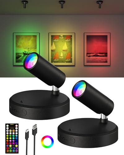 EZVALO RGB Spotlights Indoor with Remote, 5500mAh Rechargeable Picture Lights, DIY Mode & 83 Color Changing Uplighting, Wireless Mini Accent Lighting for Plant Painting, Artwork (2Pack-Black)