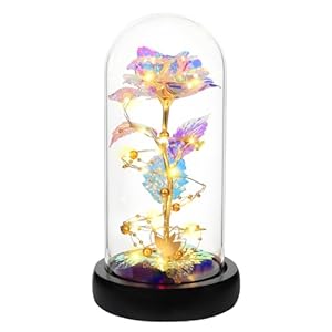 Mothers Day Rose Gifts for Mom Wife Girlfriend, Gifts for her, Beauty and the Beast Rose in Glass Dome, Colorful LED lights, Lady Birthday Gift for Women, Mothers Day Gifts