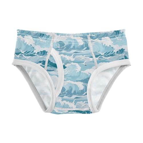 visesunny Boys Cotton Underwear Ocean Seagull Printed Toddler Soft Training Briefs Size 2T-8Y for Kids