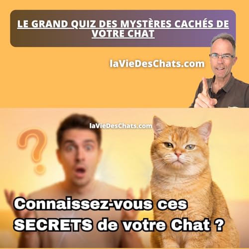 5 MYST&Egrave;RES CACH&Eacute;S DE VOTRE CHAT (le quiz qui R&Eacute;V&Egrave;LE tout)