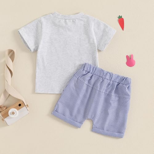 Image of Toddler Baby Boy Easter Rabbit Outfit Short Sleeve Bunny Carrot Smocked T-shirt Elastic Waist Shorts Summer Clothes